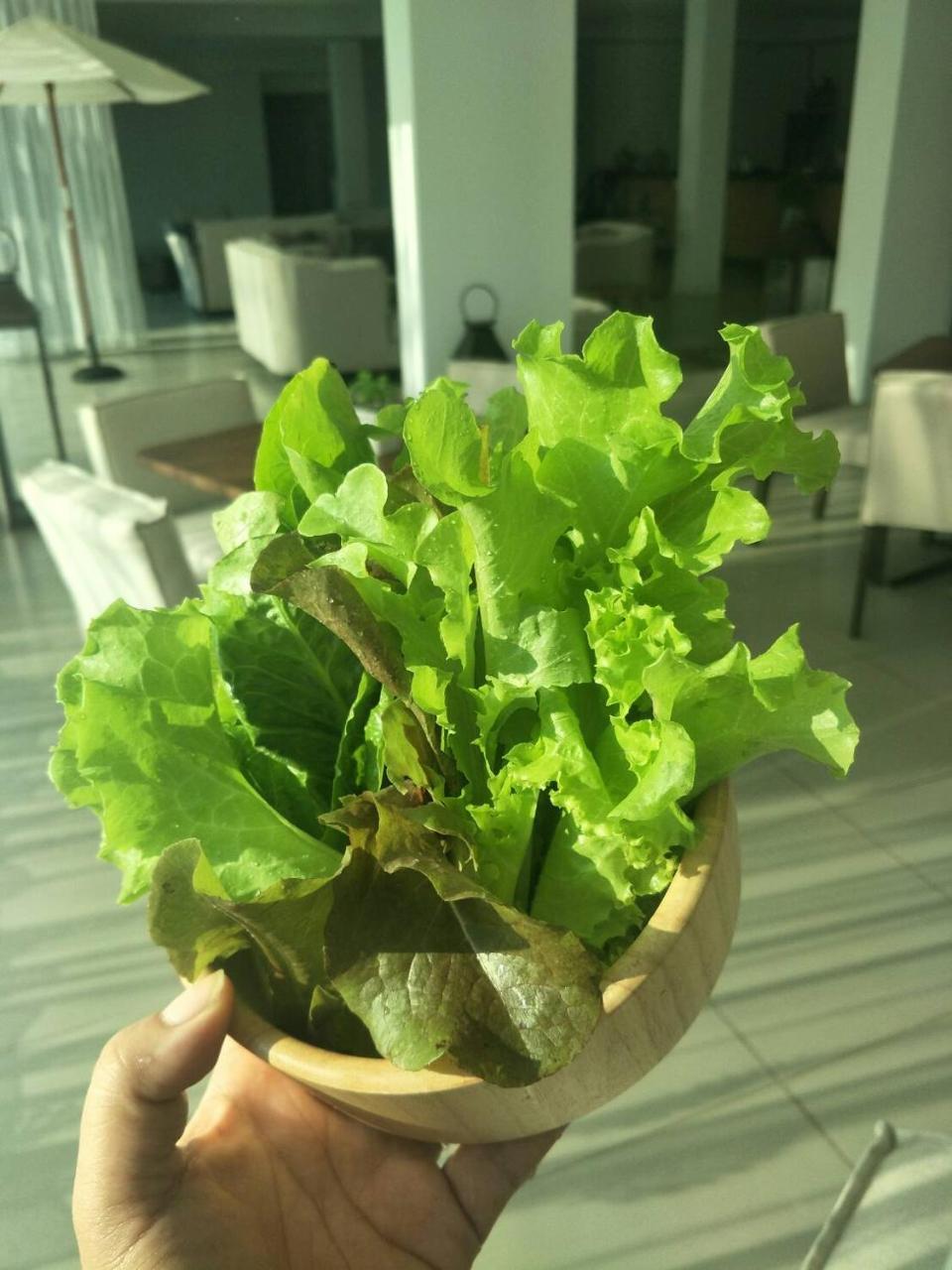 The White Garden Premier Saraburi Hotell Ban Dao Ruang  Exteriör bild